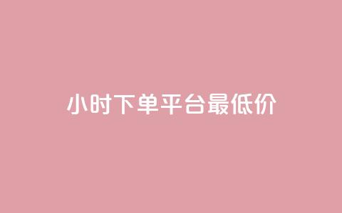 24小时下单平台最低价 - 最低价24小时下单平台！~  第1张