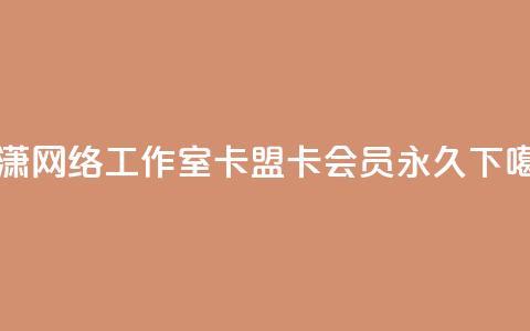 子潇网络工作室 - 卡盟卡qq会员永久  第1张