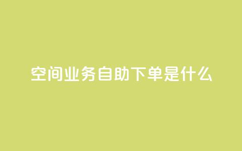qq空间业务自助下单是什么 - 24小时自助下单秒到  第1张