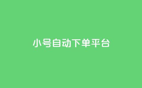 ks小号自动下单平台 - qq空间访客量的网址  第1张