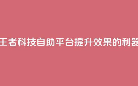 王者科技自助平台：提升SEO效果的利器  第1张