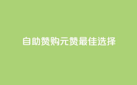 自助赞购：1元100赞最佳选择  第1张