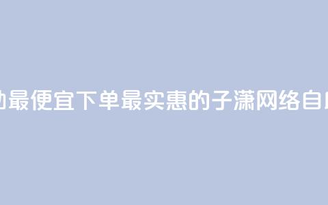 子潇网络自助最便宜下单(最实惠的子潇网络自助下单)  第1张