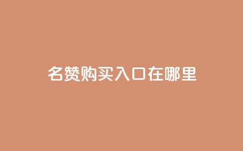 qq名赞购买入口在哪里,一毛钱涨10000赞软件下载 - 点赞下单平台 快手播放量下单10万  第1张