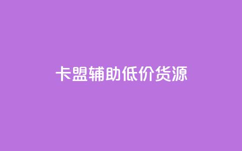 卡盟辅助低价货源 - 卡盟低价辅助工具采购指南~  第1张