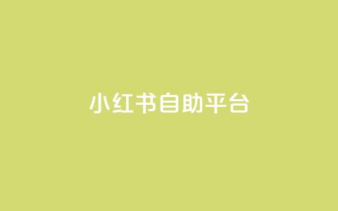 小红书24自助平台 - 小红书推出24小时自助服务平台全新体验!  第1张