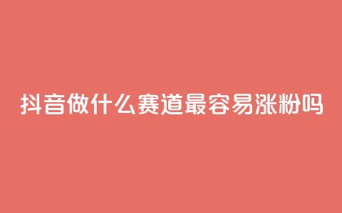 抖音做什么赛道最容易涨粉吗,全网账号批发 - 抖音怎么查自己点过的赞 b站播放量自助平台  第1张
