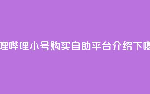 哔哩哔哩小号购买自助平台介绍  第1张