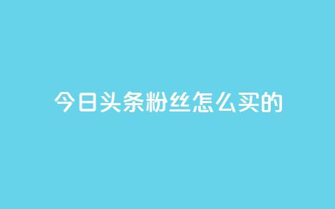 今日头条粉丝怎么买的 - vip影视会员一手货源批发  第1张