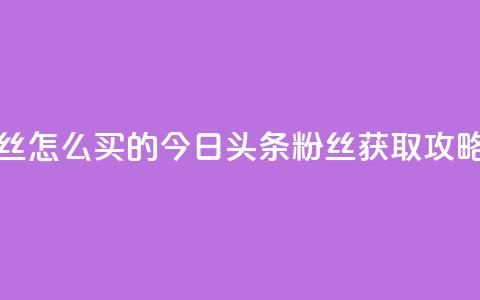 今日头条粉丝怎么买的 - 今日头条粉丝获取攻略分享!  第1张