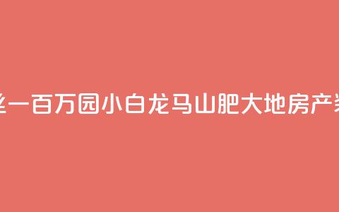 快手粉丝一百万0.01园小白龙马山肥大地房产装修网站,qq空间免费领取20个赞 - 快手涨1万粉 快手业务网站  第1张