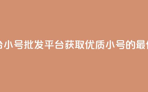 QQ小号批发平台 - QQ小号批发平台：获取优质小号的最佳选择~  第1张