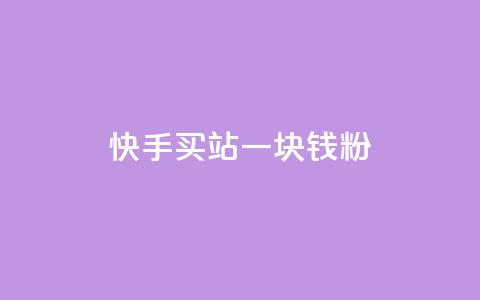 快手买站一块钱1000粉 - 快手一元购站轻松助你获取1000粉丝~  第1张
