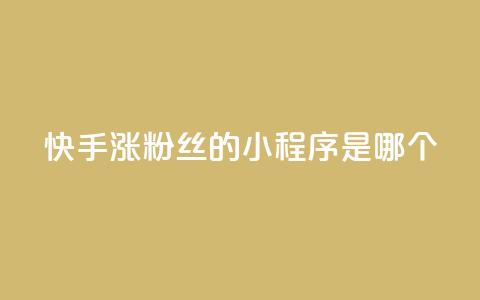 快手涨粉丝的小程序是哪个,彩虹云商城怎么自动补充卡密 - ks一键取赞下载 低价购买QQ会员的平台  第1张