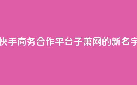 快手商务合作平台子萧网的新名字  第1张