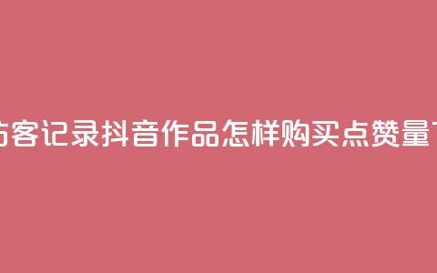 qq空间访客记录 - 抖音作品怎样购买点赞量  第1张
