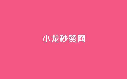 小龙秒赞网 - 小龙秒赞网助力社交媒体快速涨粉与互动~  第1张