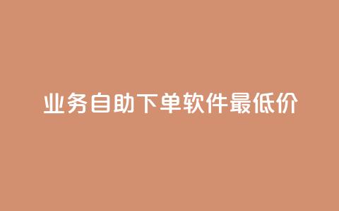 ks业务自助下单软件最低价,qq空间说说浏览次数怎么算的 - qq卡盟自助 紫冰卡盟  第1张