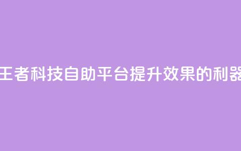 王者科技自助平台：提升SEO效果的利器  第1张