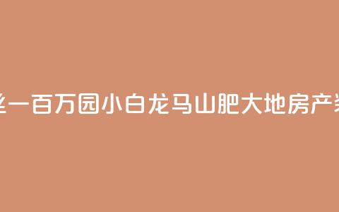 快手粉丝一百万0.01园小白龙马山肥大地房产装修网站,QQ红钻卡盟 - qq业务自助 子潇网络平台是合法吗  第1张
