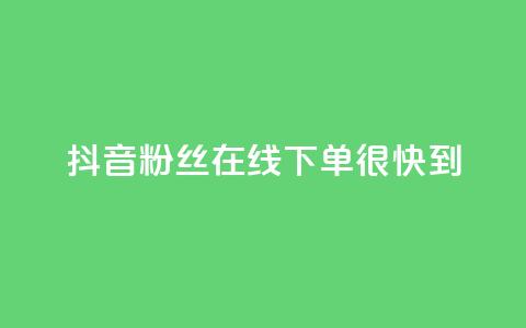 抖音粉丝在线下单很快到 - 抖音粉丝轻松下单迅速到达~  第1张