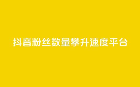 抖音粉丝数量攀升速度平台  第1张