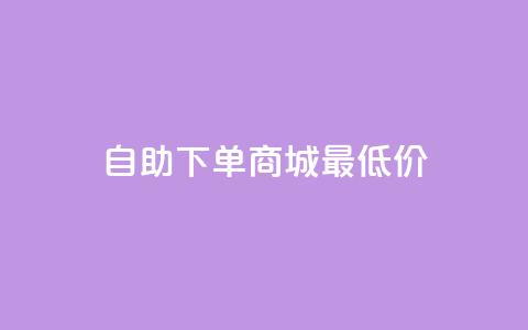 自助下单商城最低价 - 自助下单商城超值优惠最低价探索~  第1张