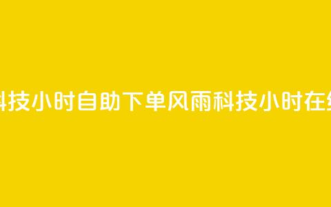 风雨科技24小时自助下单(风雨科技24小时在线下单)  第1张