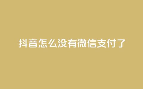 抖音怎么没有微信支付了,全网最低价业务平台快手业务 - 快手刷热门软件免费 抖音如何关闭点赞  第1张