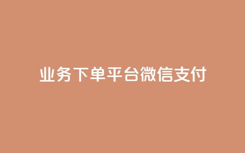 KS业务下单平台微信支付,快手抖音双击24小时下单网站 - dy自助服务平台 抖音一万播放1块钱  第1张