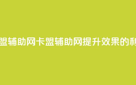 卡盟辅助网(卡盟辅助网：提升SEO效果的利器)  第1张