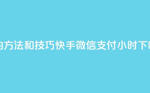 丝的方法和技巧 - 快手微信支付24小时  第1张