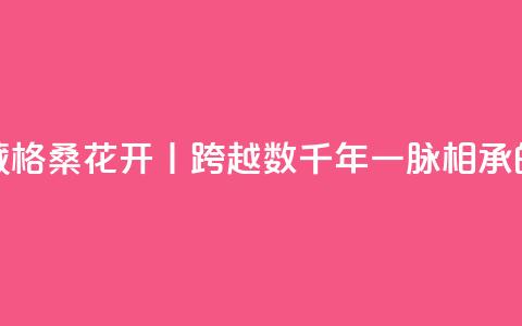 寻觅西藏 格桑花开丨跨越数千年一脉相承的藏医药  第1张