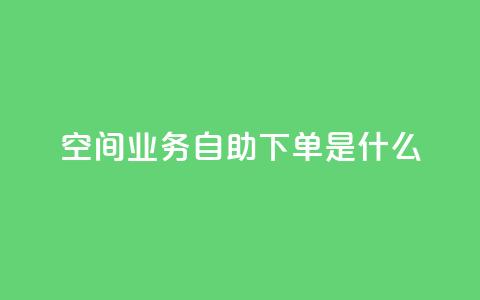 qq空间业务自助下单是什么 - 24小时自助下单秒到  第1张