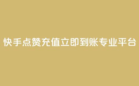快手点赞充值立即到账专业平台  第1张