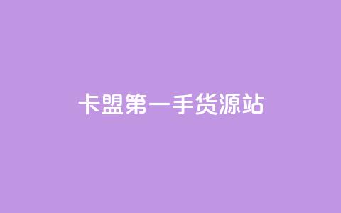 卡盟第一手货源站 - 发卡平台  第1张