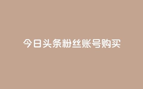 今日头条粉丝账号购买,影视会员货源批发渠道 - 拼多多扫码助力网站 拼多多官网商家入驻入口  第1张