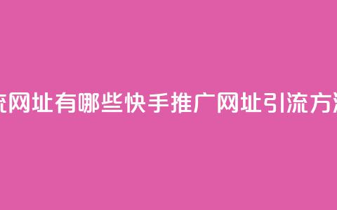 快手推广引流网址有哪些(快手推广网址引流方法汇总)  第1张