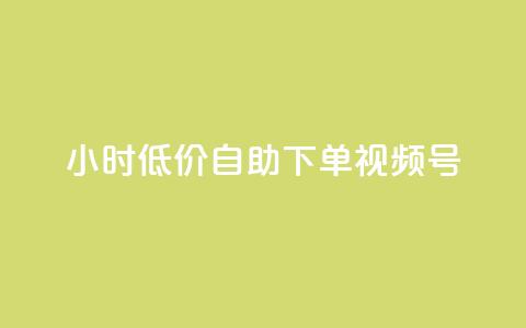 24小时低价自助下单视频号,快手买东西付款方式有哪几种 - 卡盟排行榜网站 买点赞 自动下单 24小时  第1张