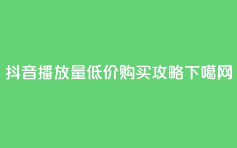 抖音播放量低价购买攻略  第1张
