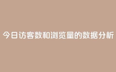 今日访客数和浏览量的数据分析  第1张