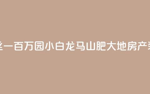快手粉丝一百万0.01园小白龙马山肥大地房产装修网站,免费qq空间网站点赞 - 抖音粉丝投了钱会兽多久 低价Ks一毛1000粉  第1张