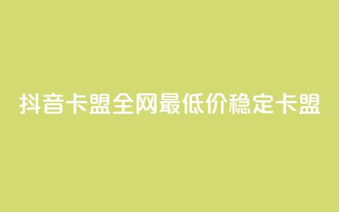 抖音卡盟全网最低价稳定卡盟,卡密进货渠道 - 抖音业务下单卡盟 24自助下单服务平台  第1张
