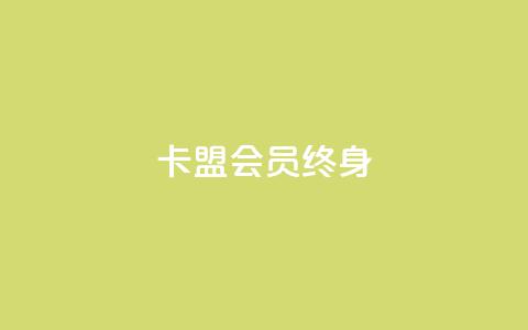卡盟qq会员 终身,点赞推广 - Ks 低价双击 1分快手赞  第1张
