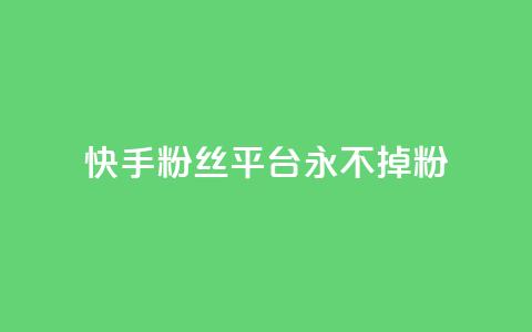 快手粉丝平台+永不掉粉,南荷网络24小时在线下单平台优惠 - 抖音业务下单24小时便宜 QQ人气访客  第1张