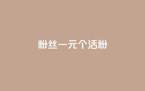 粉丝一元1000个活粉 - KS赞赞宝宝  第1张