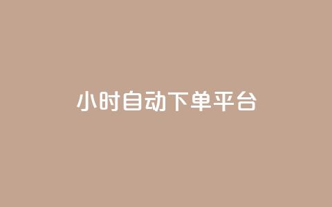 dy24小时自动下单平台 - 24小时自动下单平台DY全新体验指南！  第1张