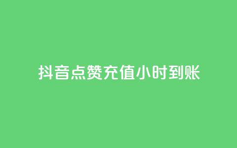 抖音点赞充值24小时到账 - dy24h自助下单商城  第1张