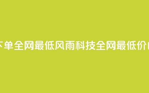 风雨科技自助下单全网最低(风雨科技：全网最低价自助下单)  第1张