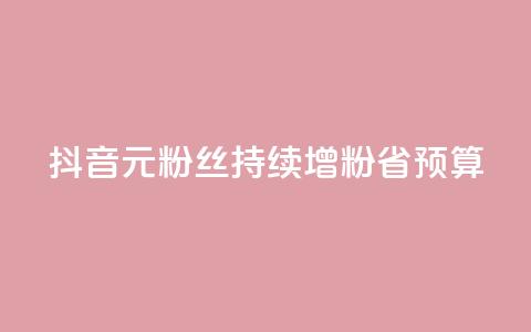 抖音1元3000粉丝持续增粉省预算  第1张